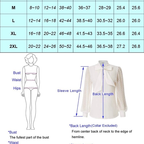 Black Blouse with Sheer Long Sleeve - Picture 3 of 4